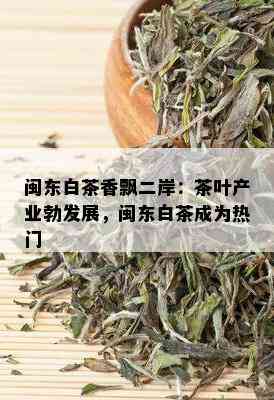 闽东白茶香飘二岸：茶叶产业勃发展，闽东白茶成为热门