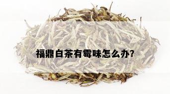 福鼎白茶有霉味怎么办？