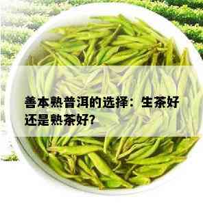 善本熟普洱的选择：生茶好还是熟茶好？