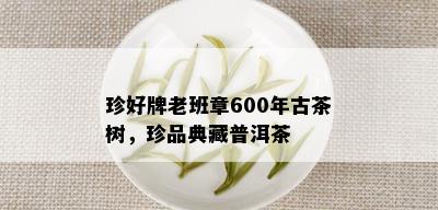 珍好牌老班章600年古茶树，珍品典藏普洱茶