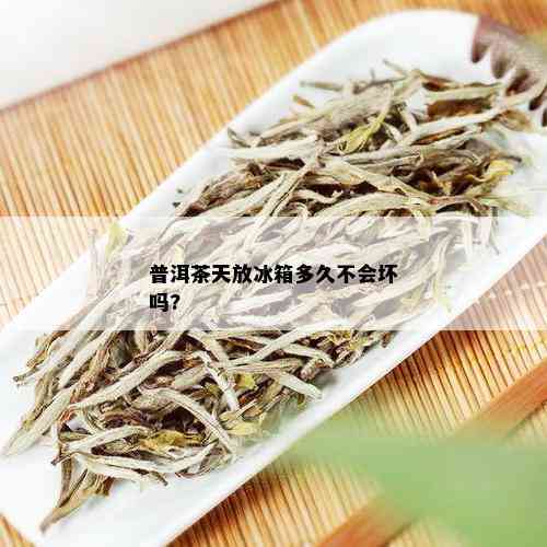 普洱茶天放冰箱多久不会坏吗?