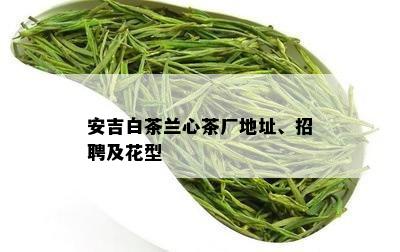 安吉白茶兰心茶厂地址、招聘及花型