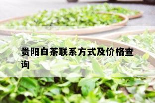 贵阳白茶联系方式及价格查询