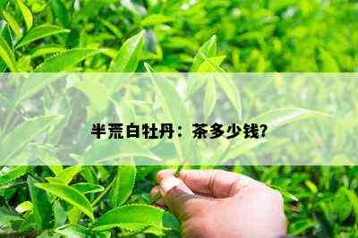 半荒白牡丹：茶多少钱？