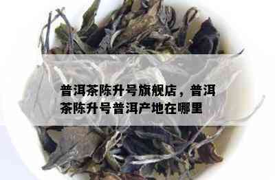 普洱茶陈升号旗舰店，普洱茶陈升号普洱产地在哪里