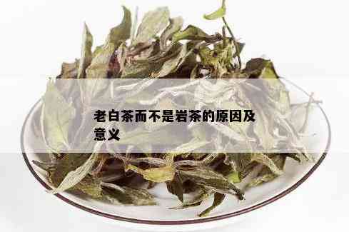 老白茶而不是岩茶的原因及意义