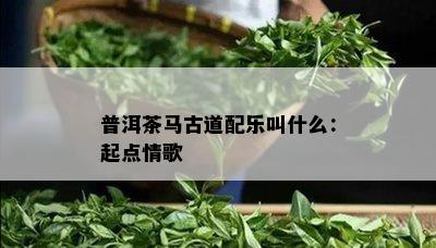 普洱茶马古道配乐叫什么：起点情歌