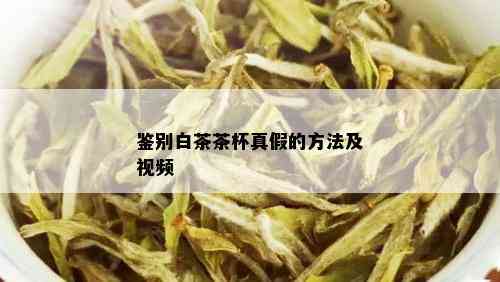 鉴别白茶茶杯真假的方法及视频