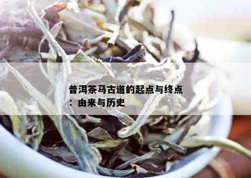 普洱茶马古道的起点与终点：由来与历史