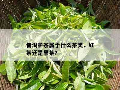 普洱熟茶属于什么茶类，红茶还是黑茶？