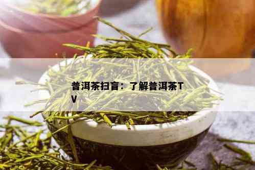 普洱茶扫盲：了解普洱茶TV