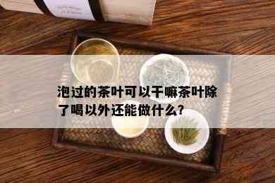 泡过的茶叶可以干嘛茶叶除了喝以外还能做什么？