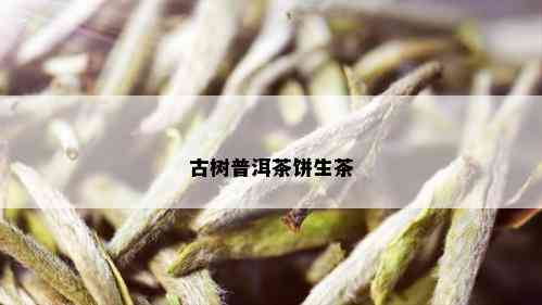 古树普洱茶饼生茶