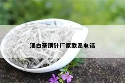 溪白毫银针厂家联系电话