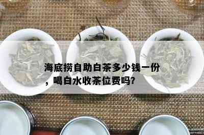 海底捞自助白茶多少钱一份，喝白水收茶位费吗？