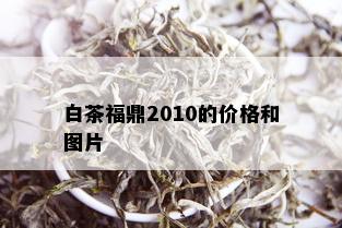 白茶福鼎2010的价格和图片