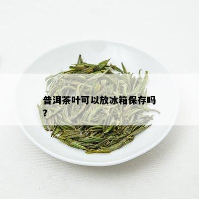 普洱茶叶可以放冰箱保存吗？