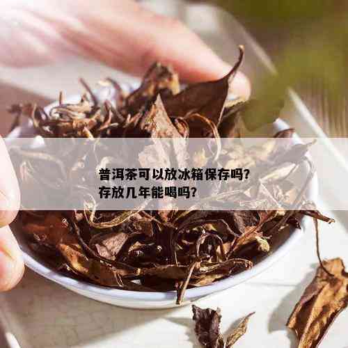 普洱茶可以放冰箱保存吗？存放几年能喝吗？