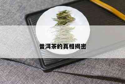 普洱茶的真相揭密