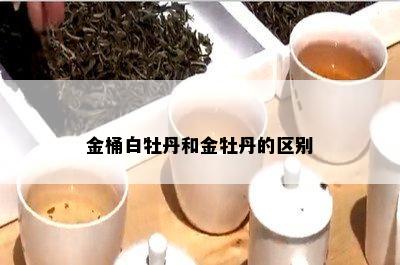 金桶白牡丹和金牡丹的区别