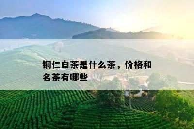 铜仁白茶是什么茶，价格和名茶有哪些