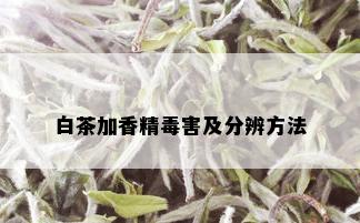 白茶加香精害及分辨方法