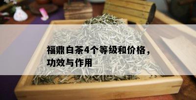 福鼎白茶4个等级和价格，功效与作用