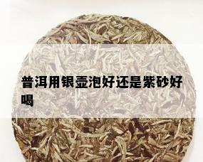 普洱用银壶泡好还是紫砂好喝