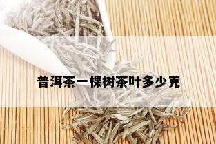 普洱茶一棵树茶叶多少克