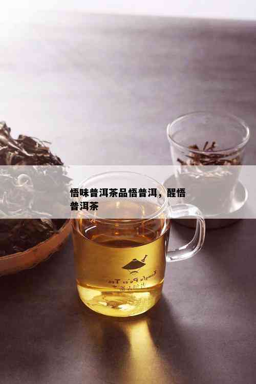 悟味普洱茶品悟普洱，醒悟普洱茶