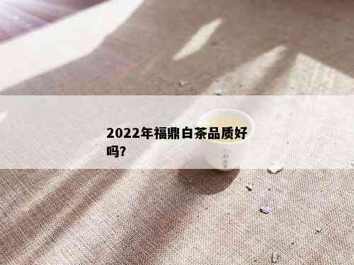 2022年福鼎白茶品质好吗？