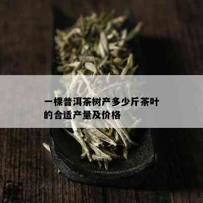 一棵普洱茶树产多少斤茶叶的合适产量及价格