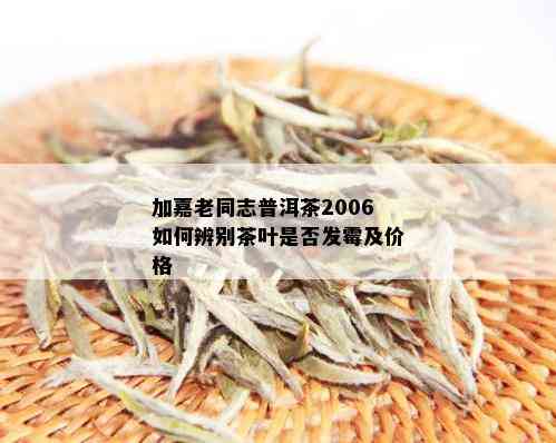 加嘉老同志普洱茶2006如何辨别茶叶是否发霉及价格