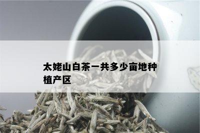 太姥山白茶一共多少亩地种植产区