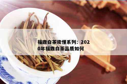 福鼎白茶读懂系列：2020年福鼎白茶品质如何