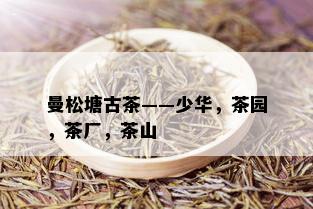 曼松塘古茶——少华，茶园，茶厂，茶山