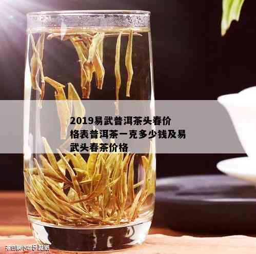 2019易武普洱茶头春价格表普洱茶一克多少钱及易武头春茶价格