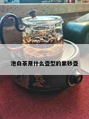 泡白茶用什么壶型的紫砂壶