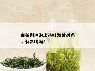 白茶刚冲泡上茶叶发黄对吗，有影响吗？