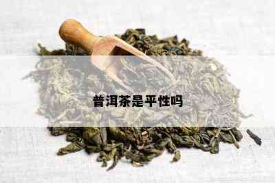 普洱茶是平性吗