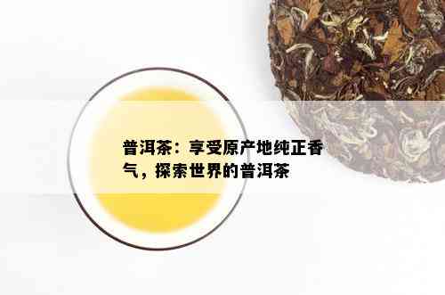 普洱茶：享受原产地纯正香气，探索世界的普洱茶