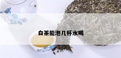 白茶能泡几杯水喝