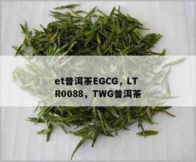 et普洱茶EGCG，LTR0088，TWG普洱茶