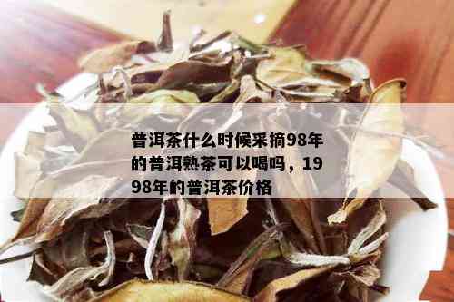 普洱茶什么时候采摘98年的普洱熟茶可以喝吗，1998年的普洱茶价格