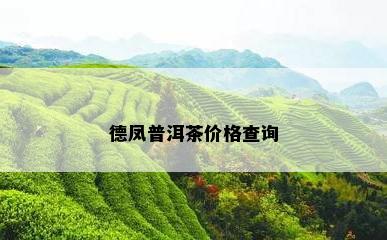 德凤普洱茶价格查询