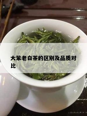 大笨老白茶的区别及品质对比