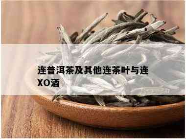 连普洱茶及其他连茶叶与连XO