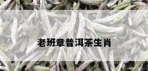 老班章普洱茶生肖