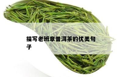 描写老班章普洱茶的优美句子