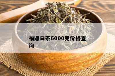 福鼎白茶6000克价格查询